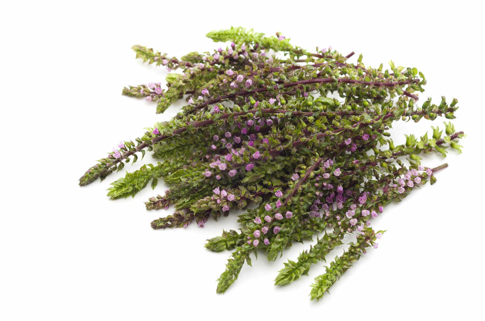 氮磷钾肥怎么施到花盆中紫苏？