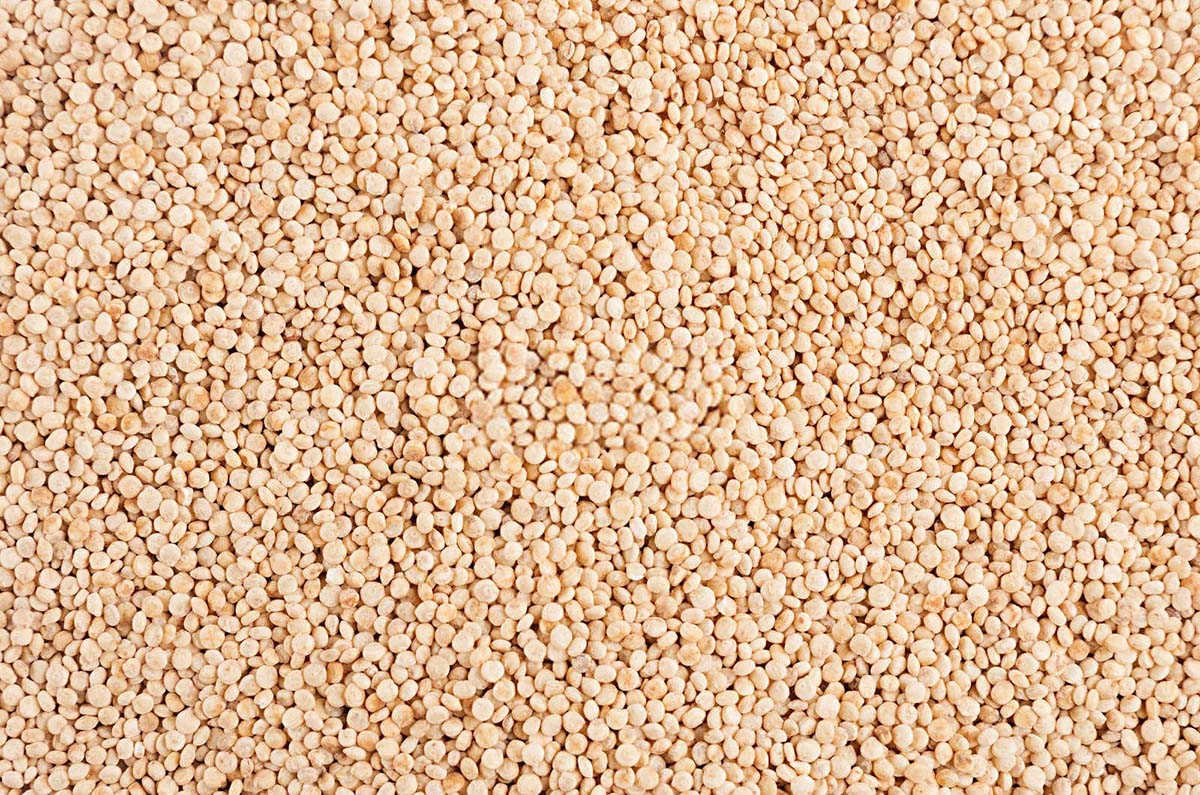 藜麦微生物肥料使用方法？