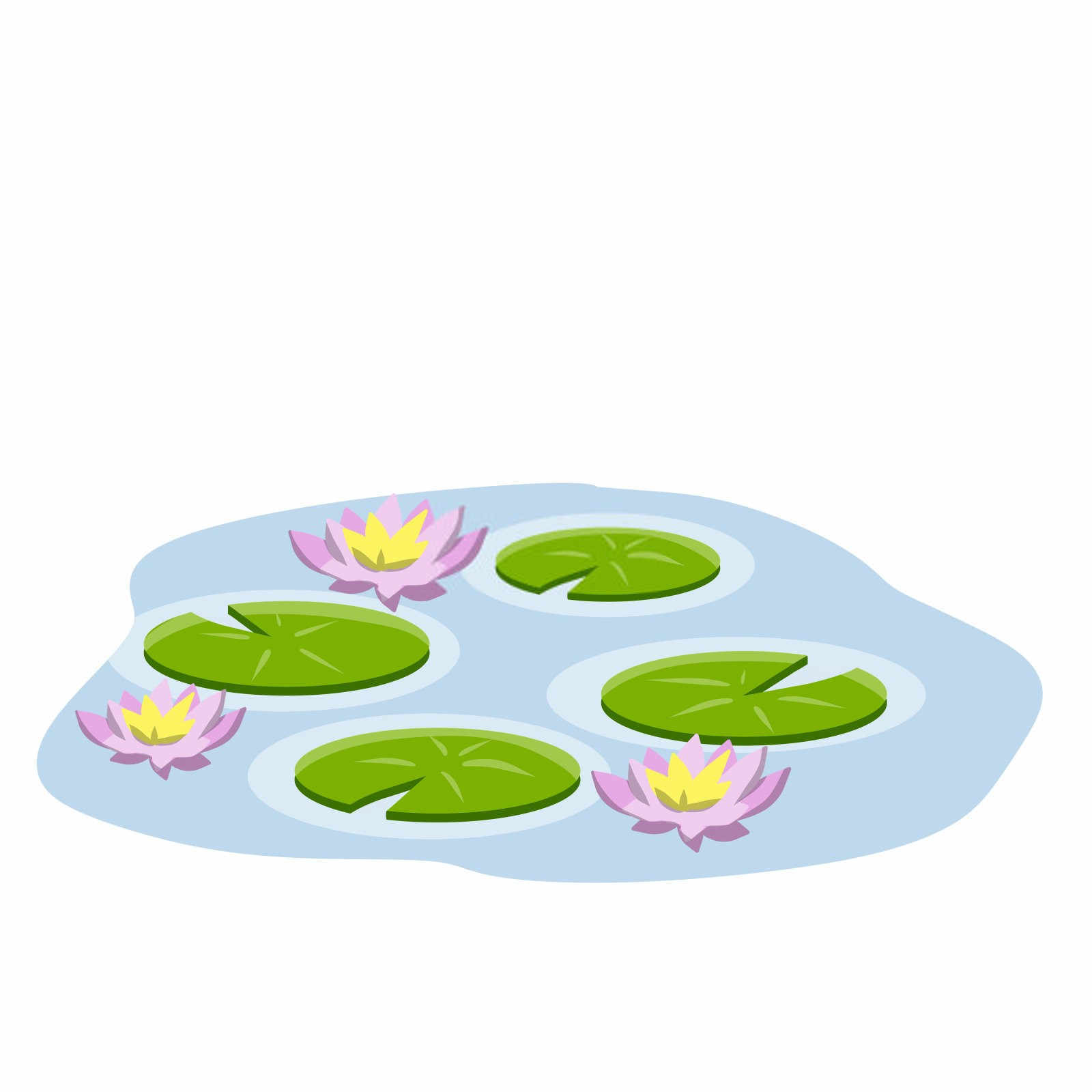 图们睡莲水溶肥料厂家前十名有哪些公司？