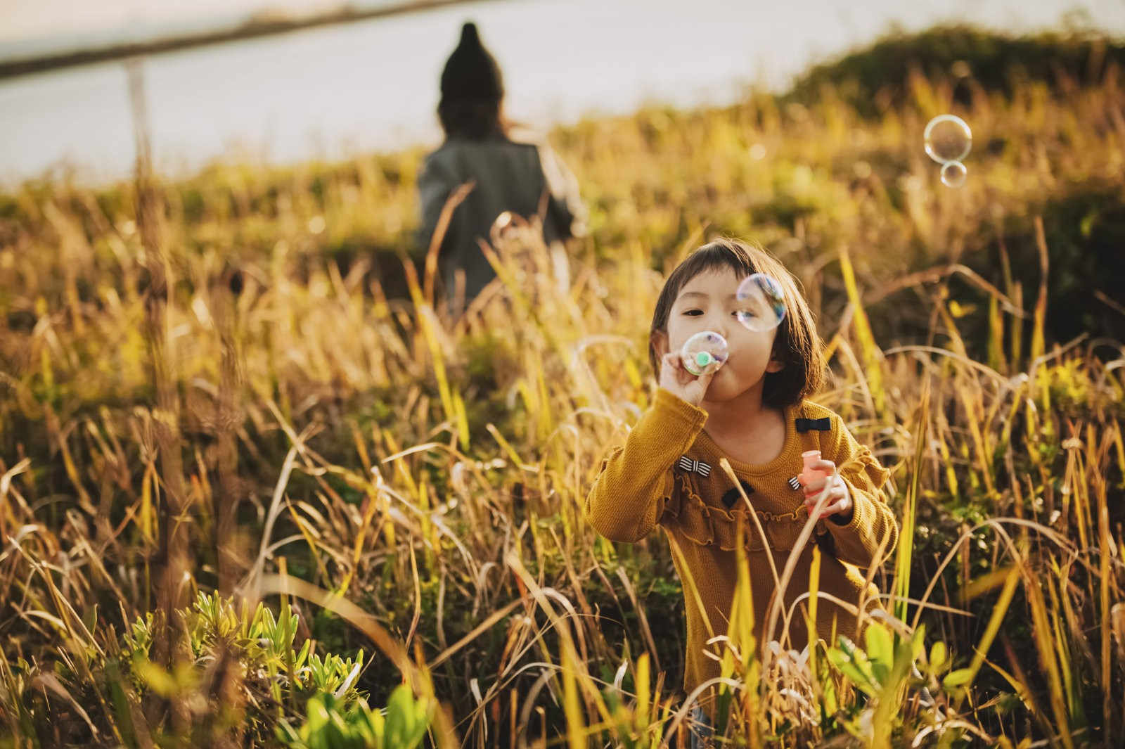 草坪养护秘籍：如何巧妙避免除草剂药害？