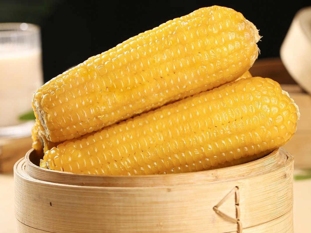 糯玉米生物肥料10大排名