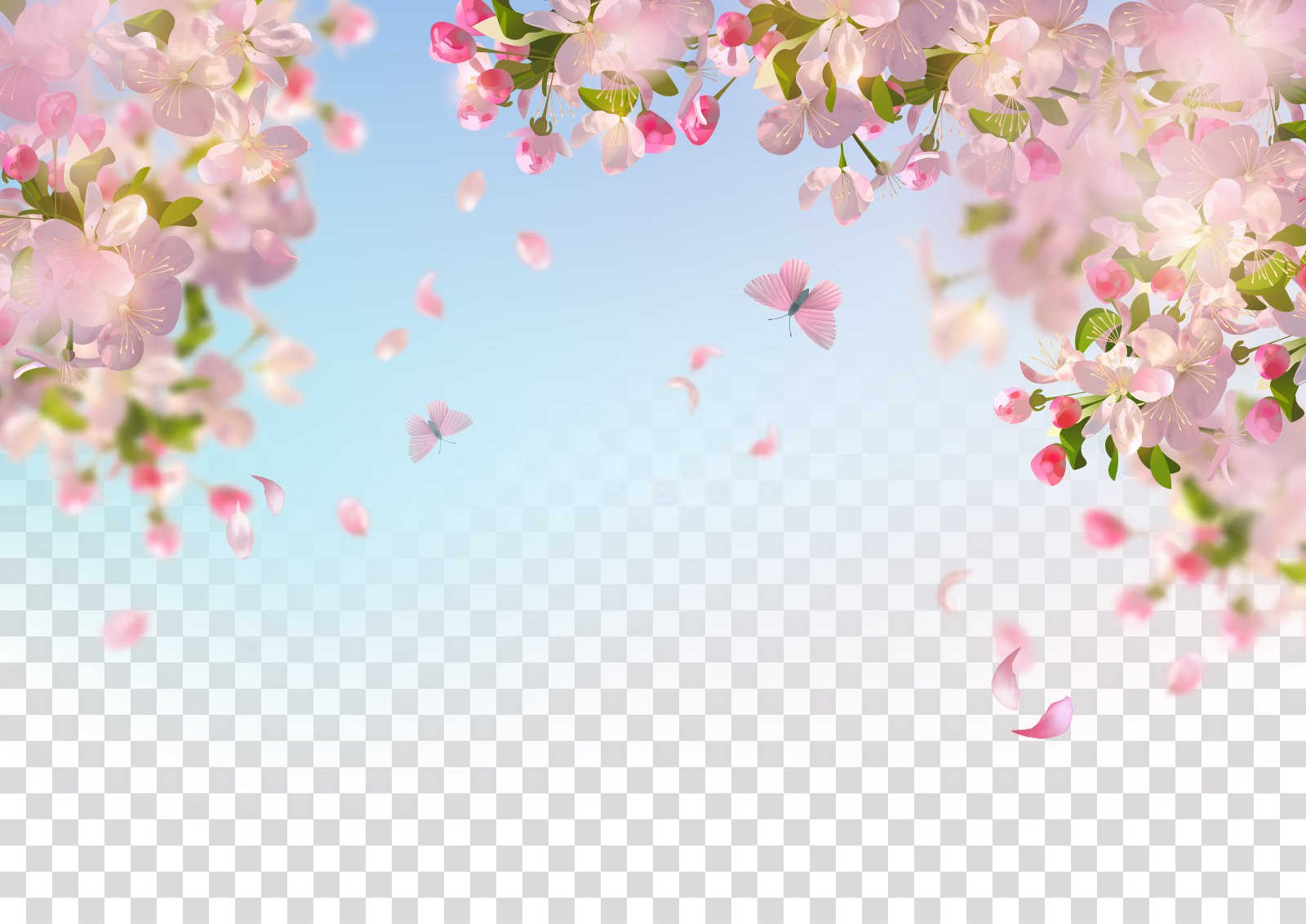 樱花有机肥价格多少钱一袋？
