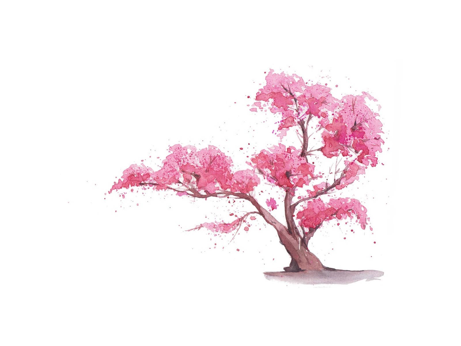 樱花绽放的秘密：多效唑如何促进樱花树开花？