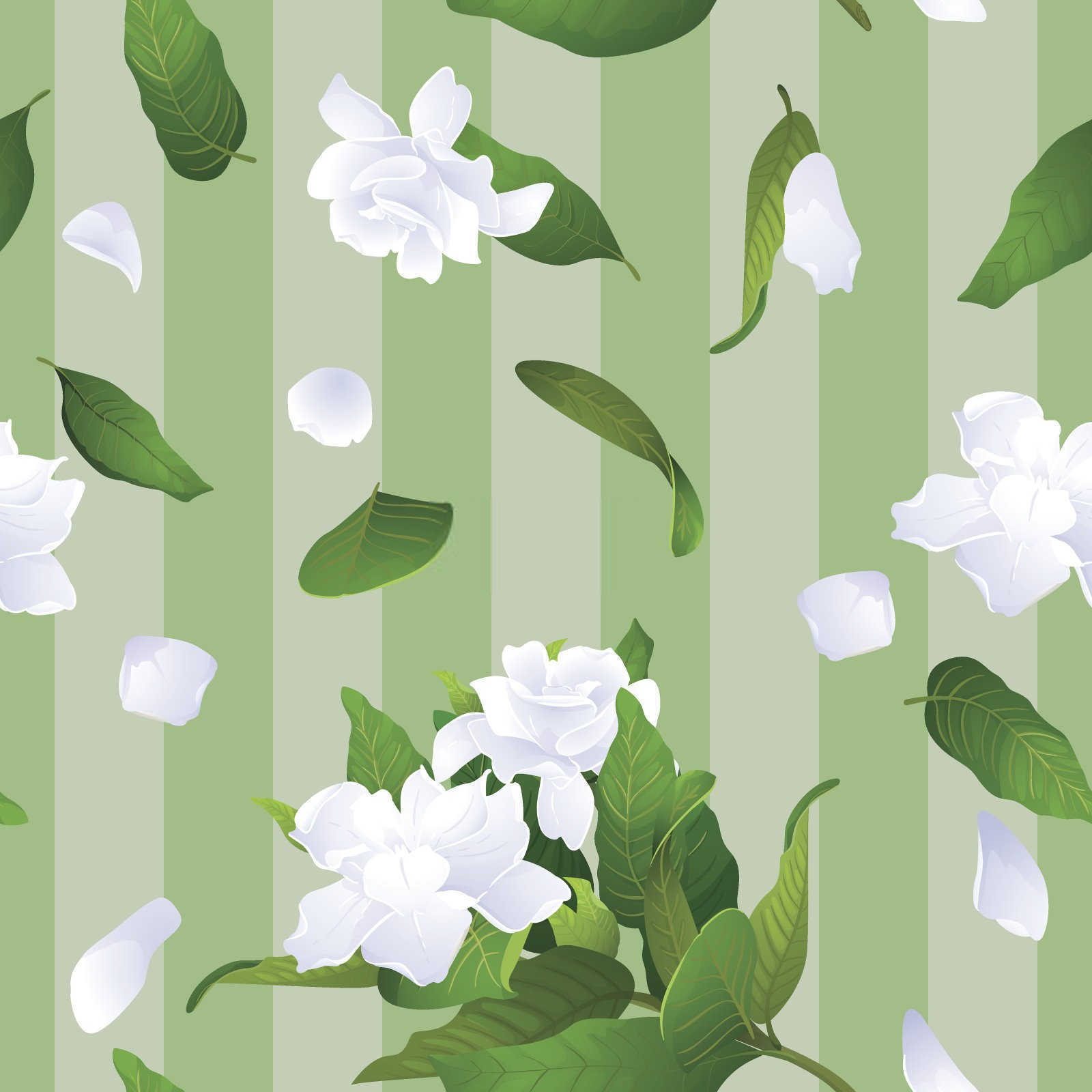 绽放清新:栀子花水培日常养护秘籍