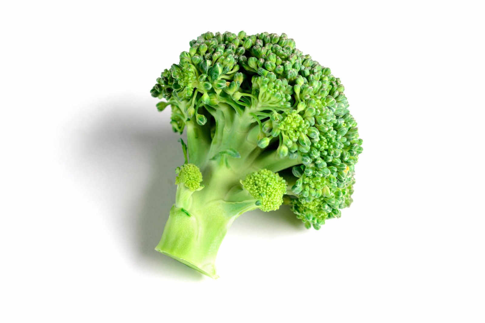 缓释肥多久施一次好西兰花？