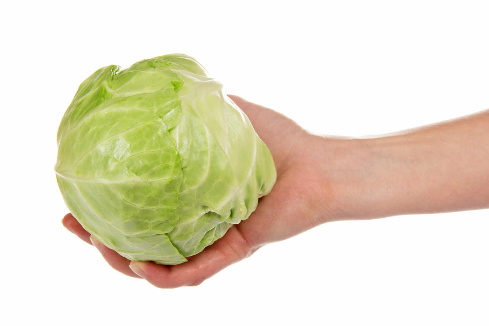 供应生物肥料的公司有哪些品牌大头菜？