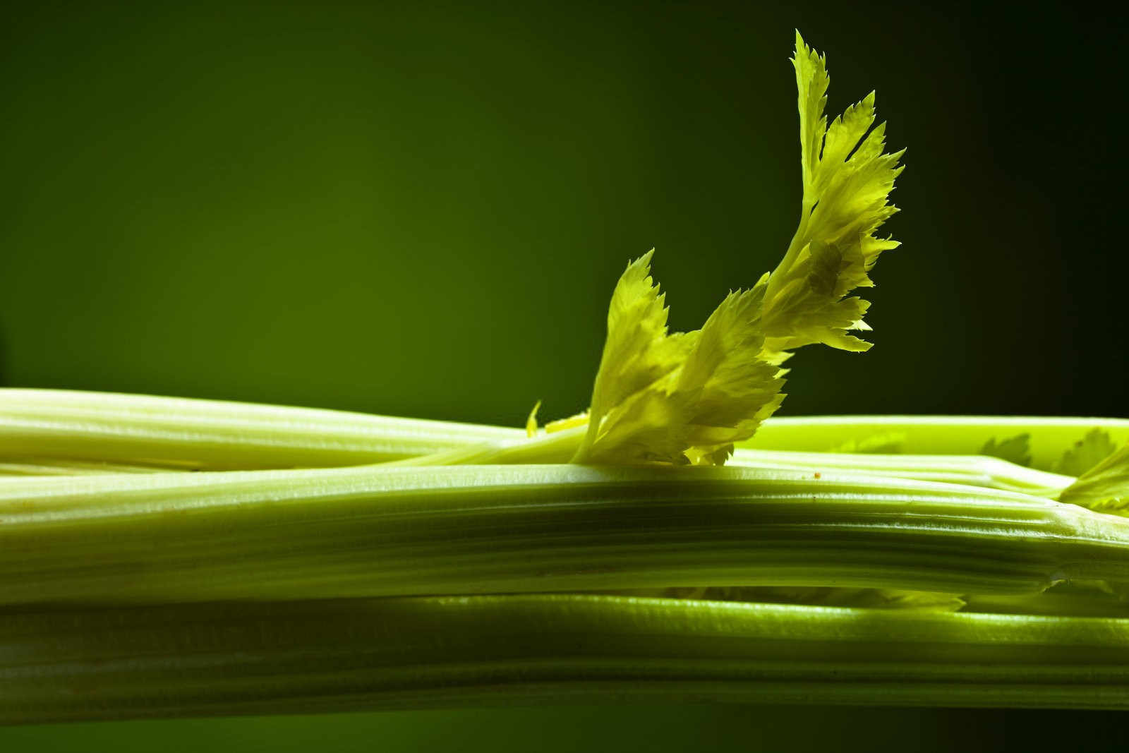 芹菜空心的有效解决措施？