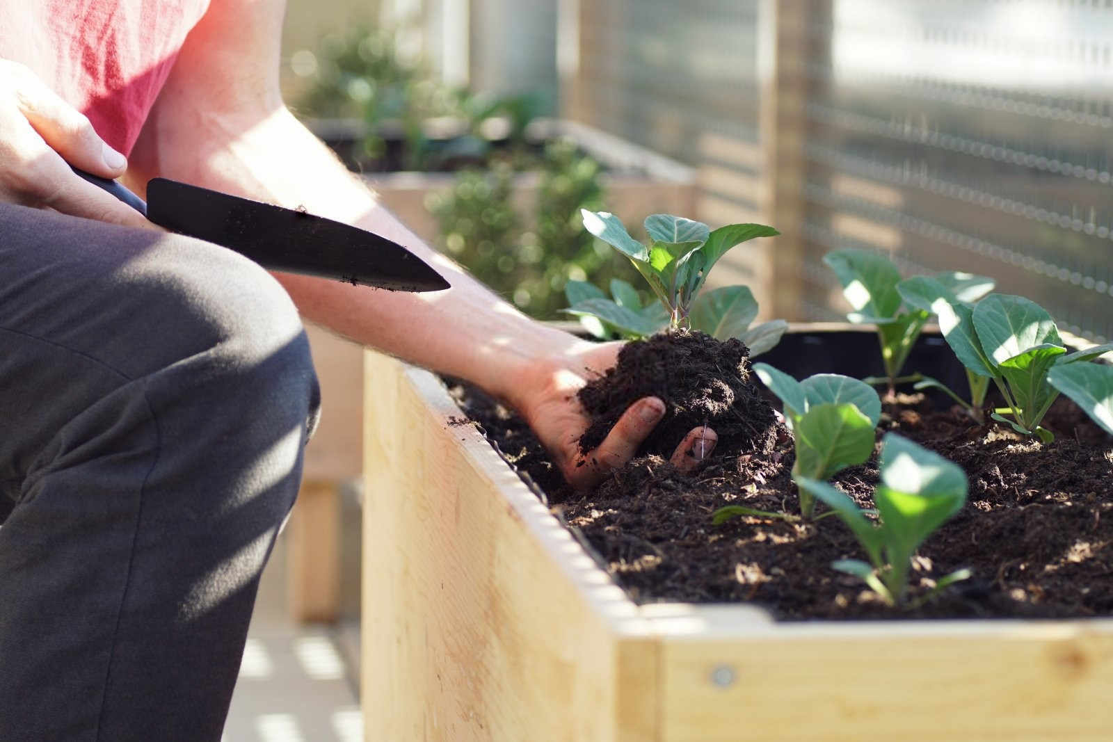 油菜花卉氮磷钾复合肥使用方法及用量2025？