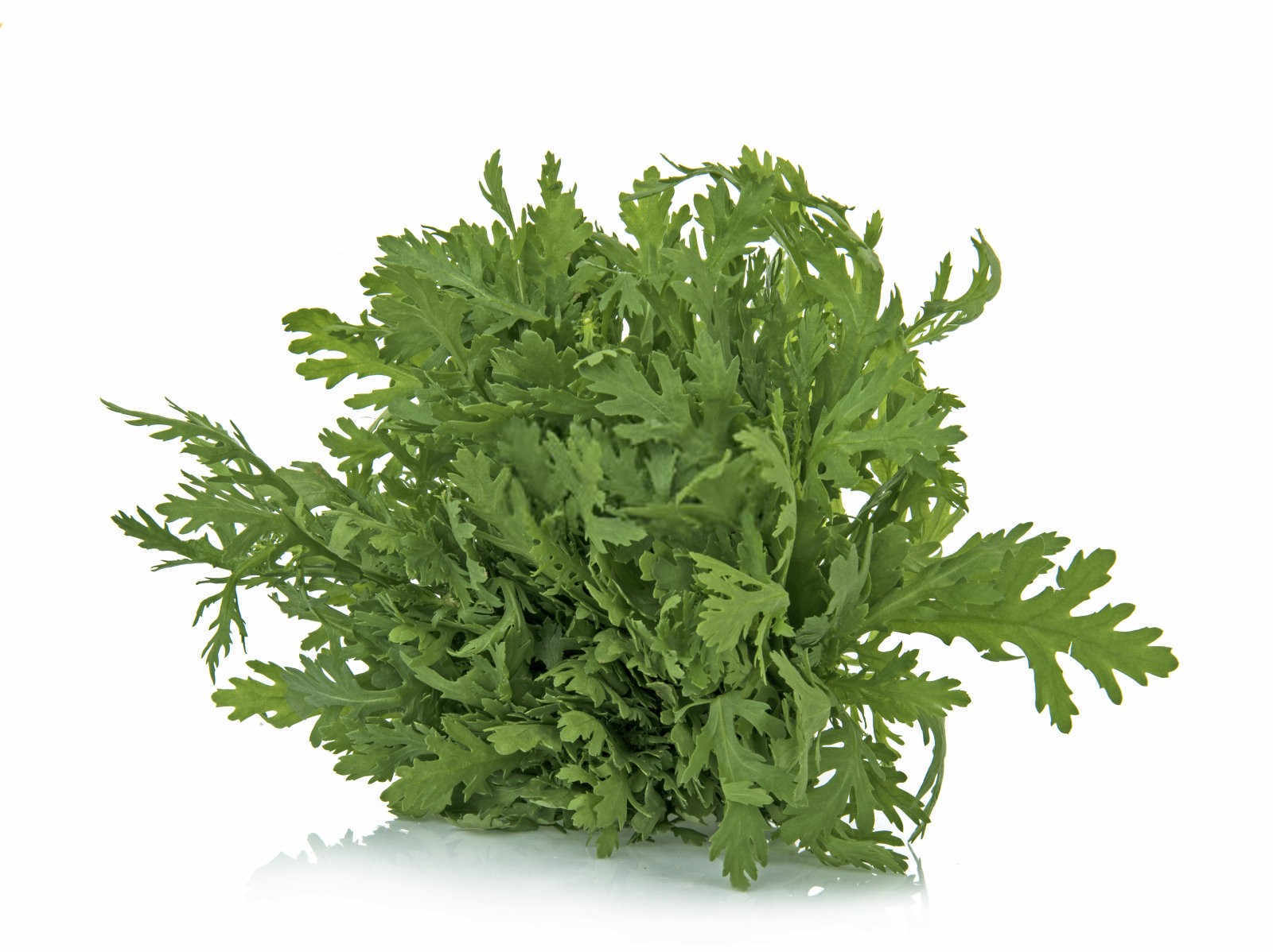 茼蒿微生物菌肥的正确使用方法种花？