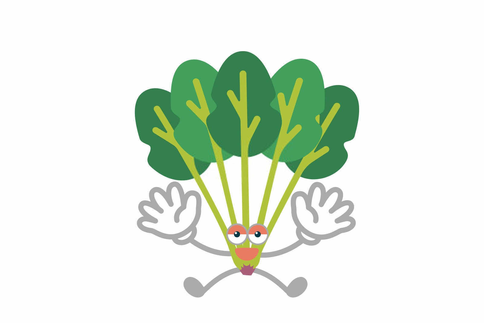 战胜菠菜叶片上的灰白色霉层:有效防治策略解析