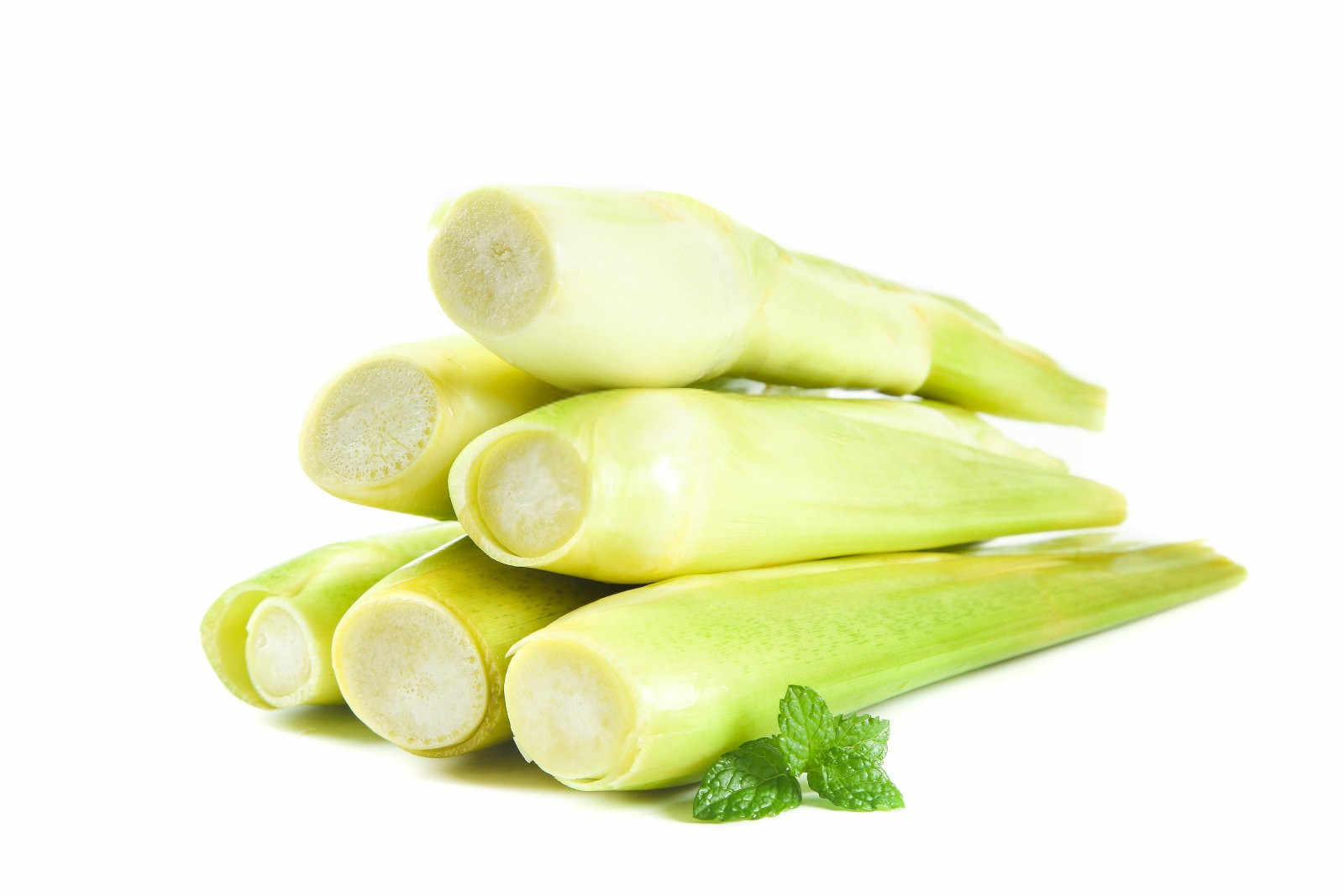 满洲里高端品牌果树专用肥茭白