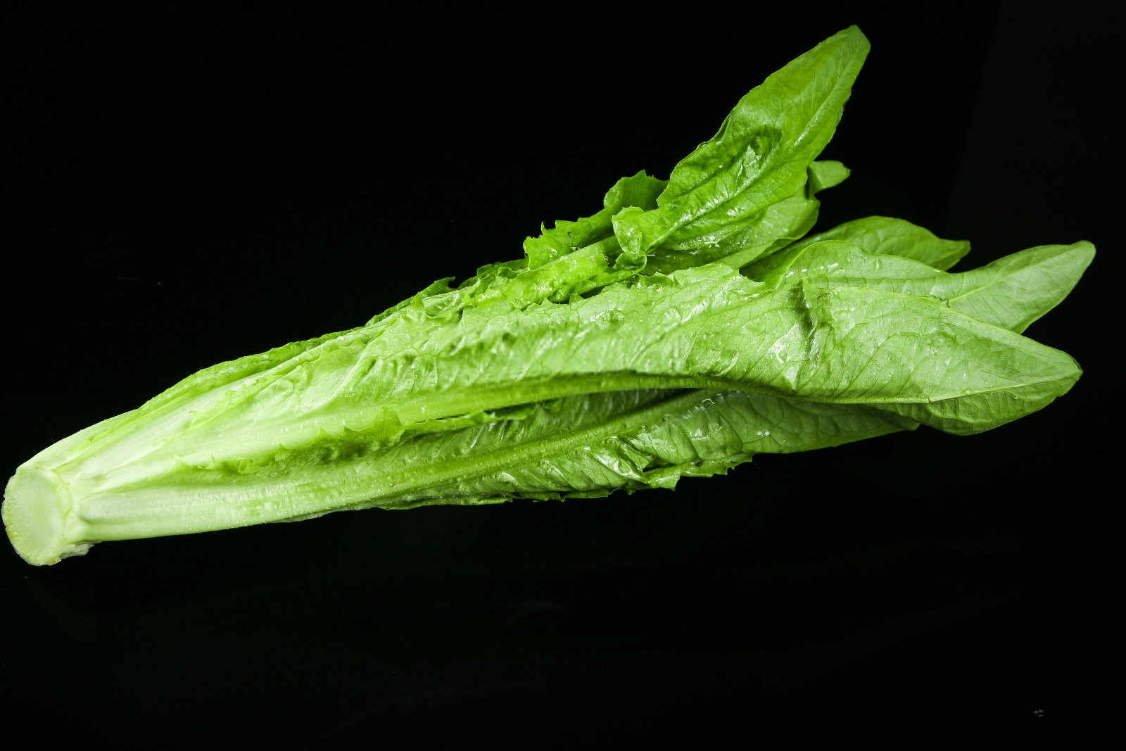 通化农用尿素生产厂家排名榜油麦菜