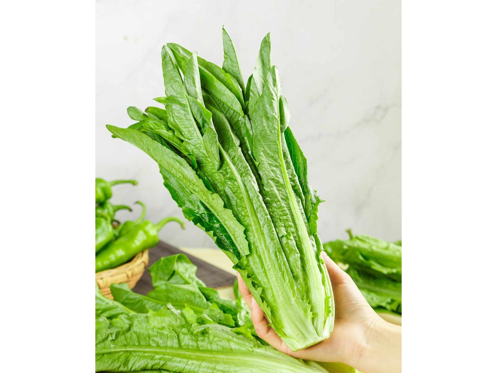 通化农用尿素生产厂家排名榜油麦菜