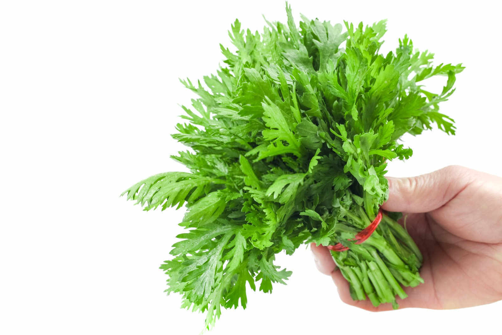 茼蒿微生物菌肥的正确使用方法种花？