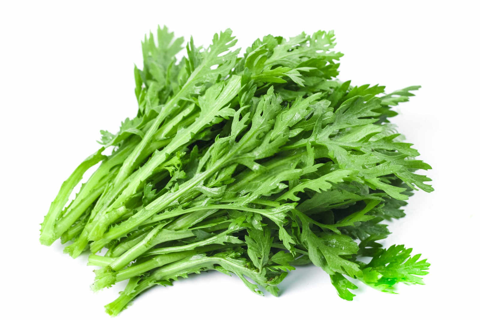 茼蒿微生物菌肥的正确使用方法种花？
