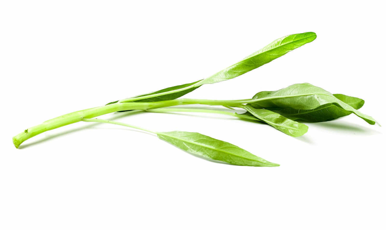 空心菜如何施肥，要注意什么——打造绿色健康的饮食环境？