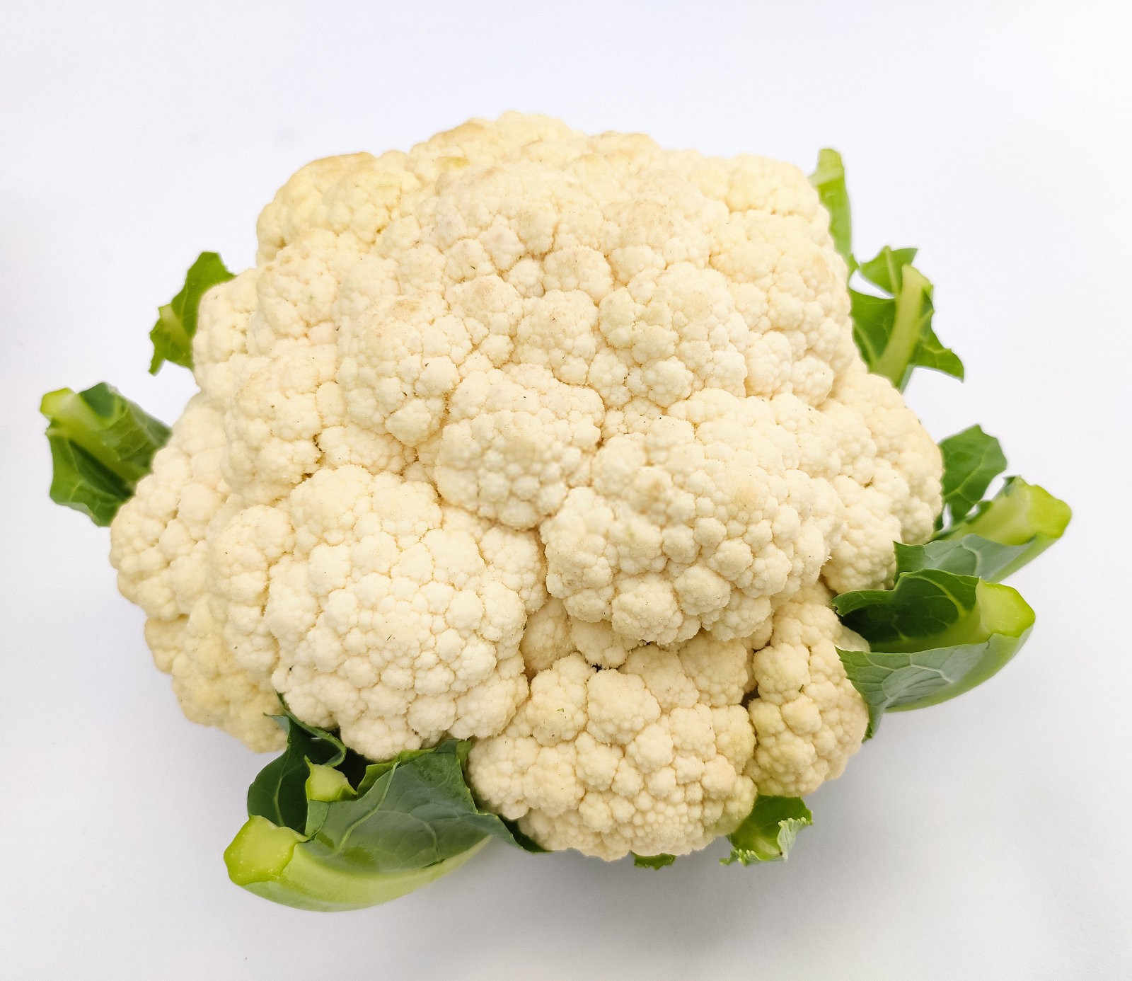 2025微生物菌肥亩用量是多少黄花菜？