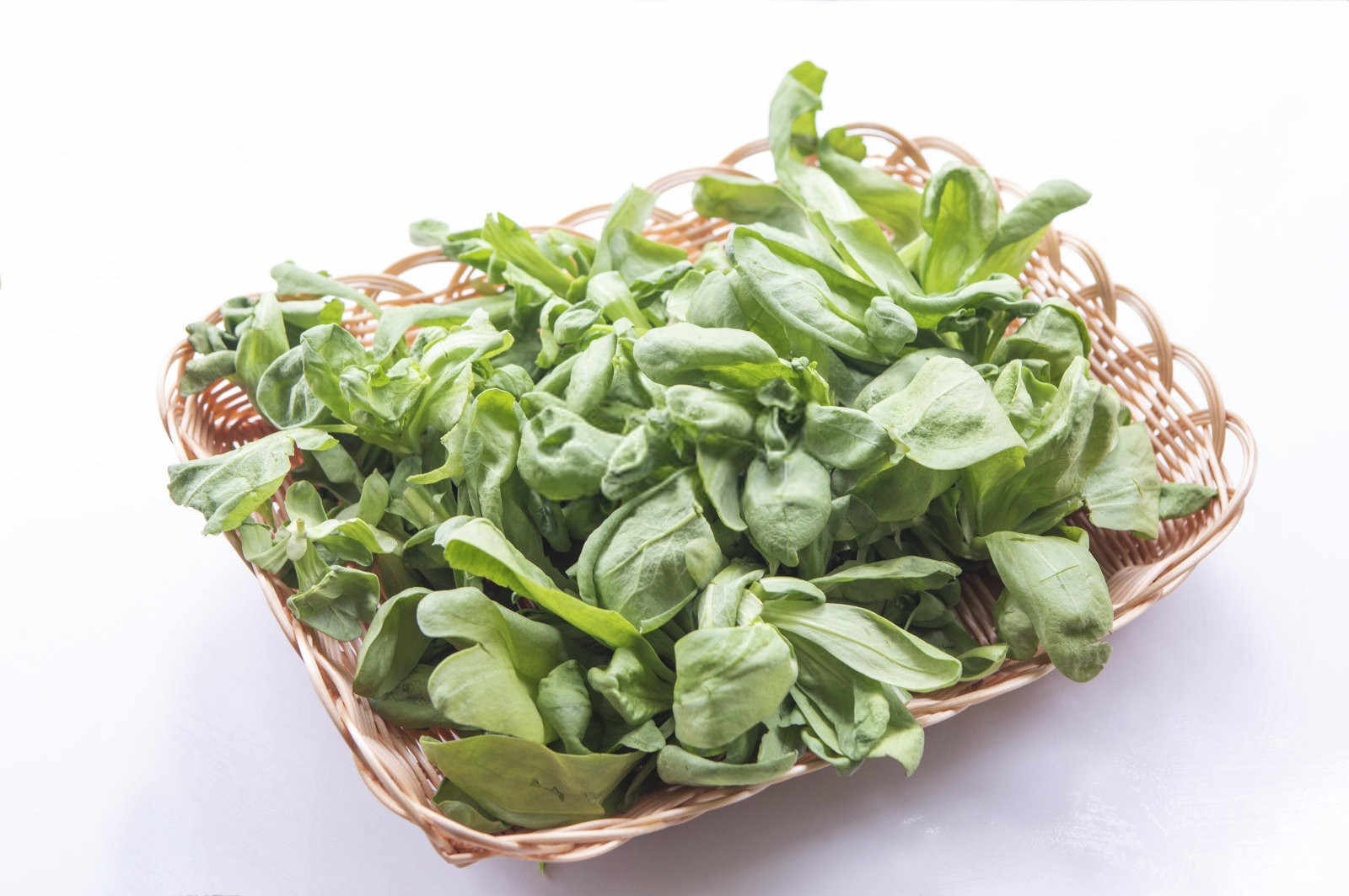 2025鸡毛菜缓释肥是什么肥和磷酸二氢钾混用？