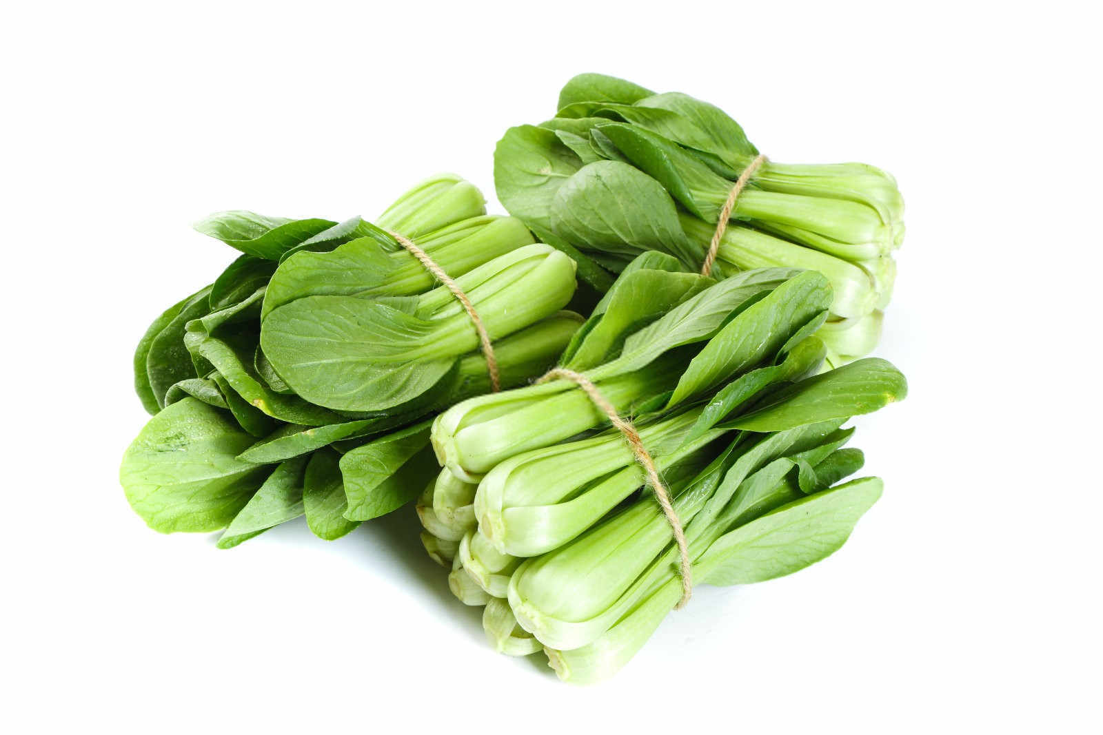 青菜烂根烂茎咋防治