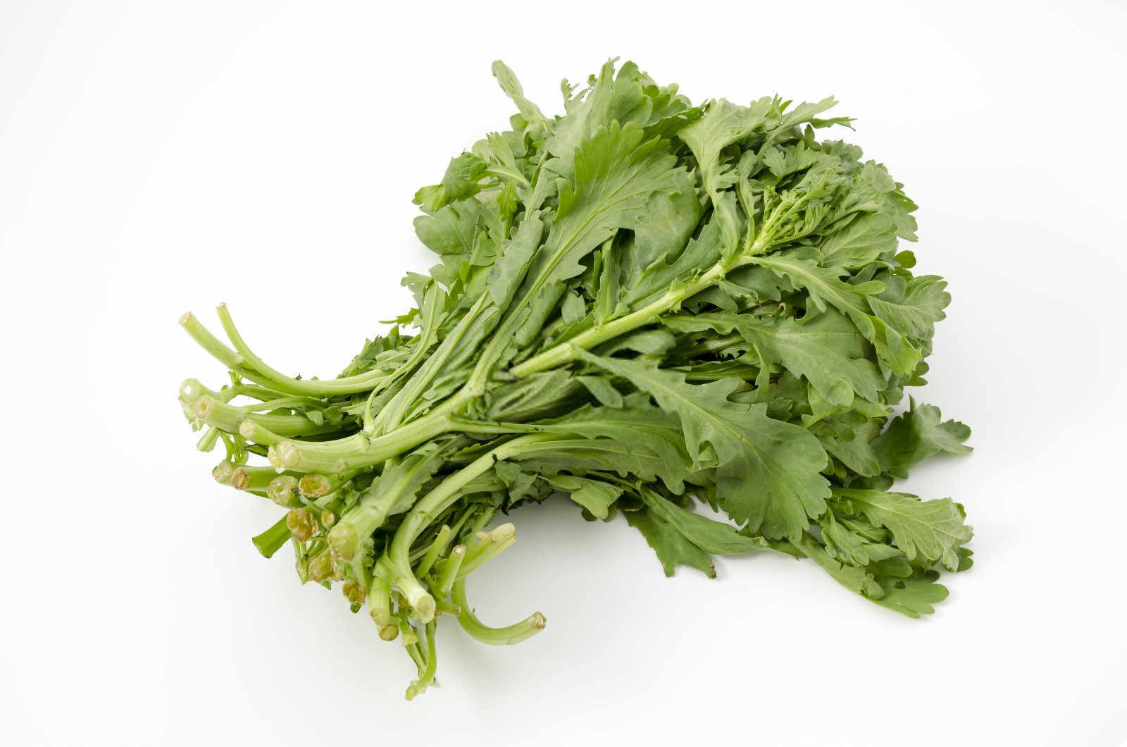 大叶茼蒿：栽培技术详解