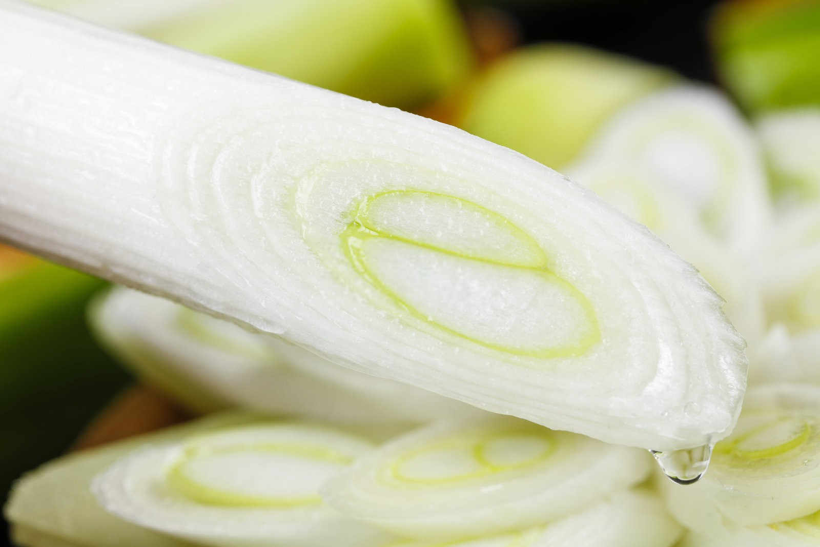 营口微生物肥料有哪些经济效益和作用大葱？