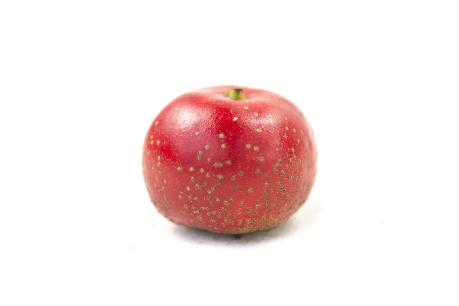 功能性微生物菌剂厂家直销山楂树