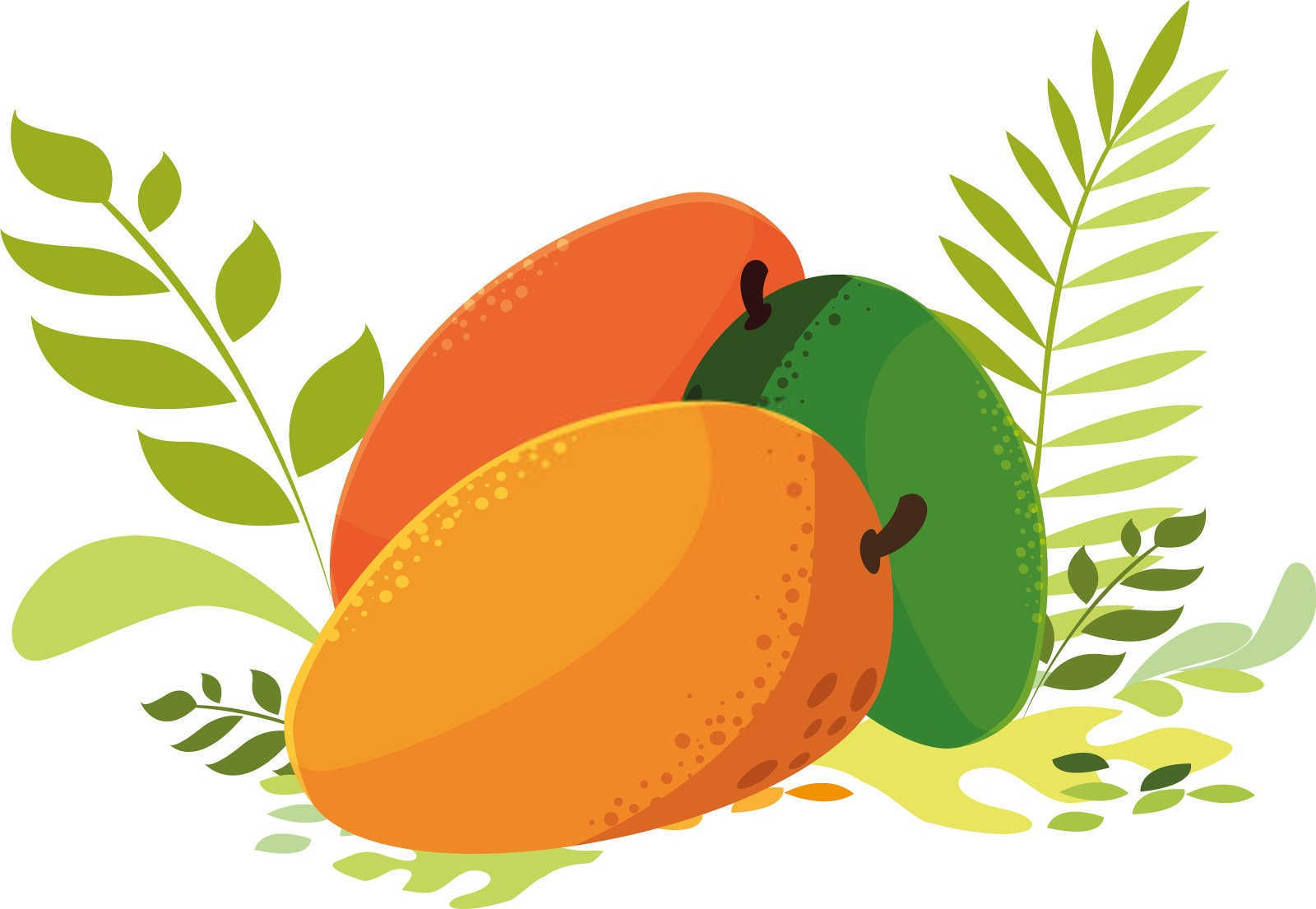 生物菌肥对农家肥的腐熟有作用吗芒果?