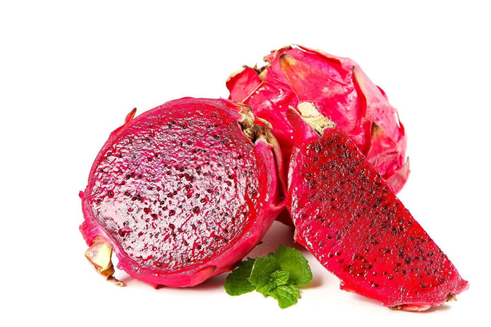 火龙果介壳虫防治与治疗全攻略