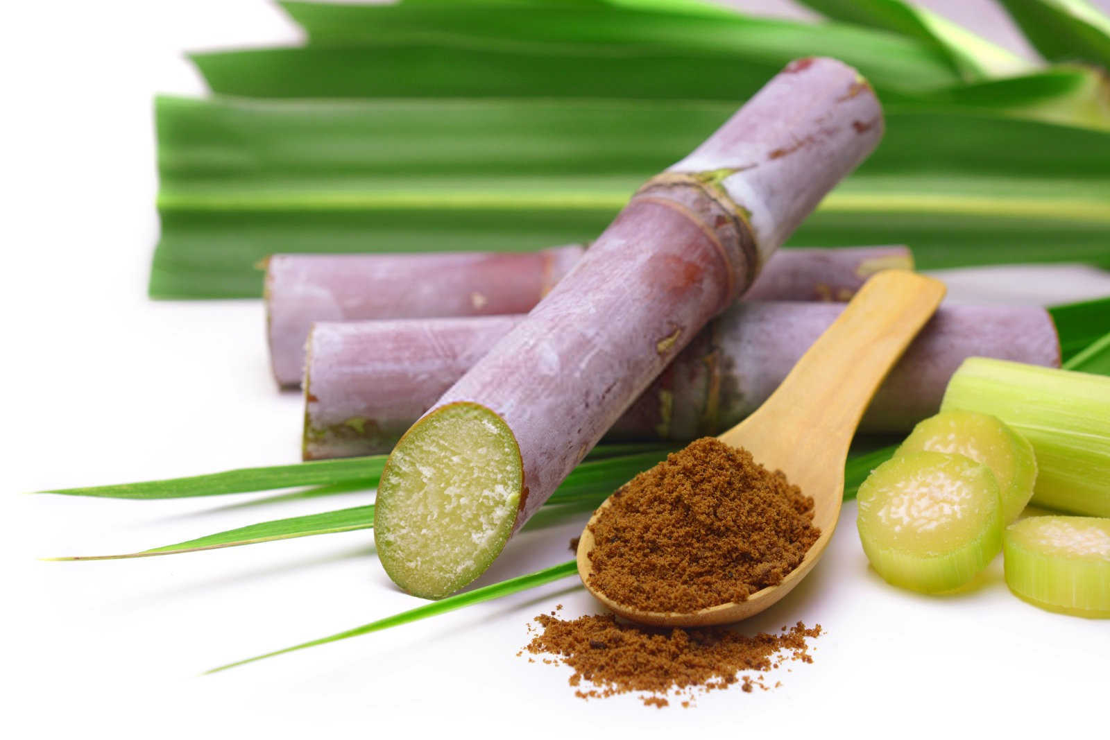 揭秘甘蔗锈病：病因与防治并重