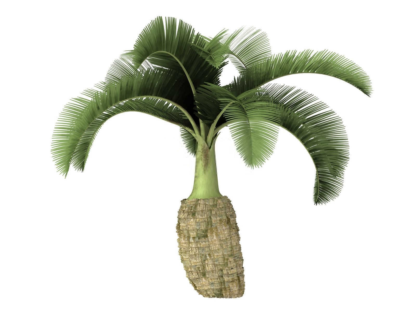 槟榔微生物菌剂是什么成分做的？