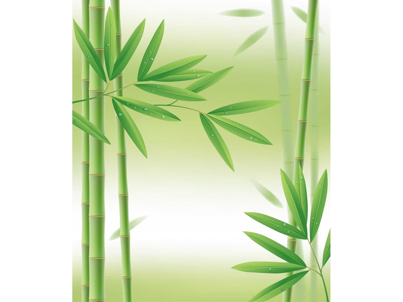 竹子化肥生产厂家地址电话号码是多少？