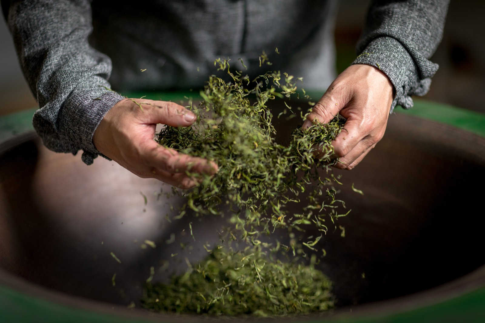 油茶苗种植多少米一株合适？