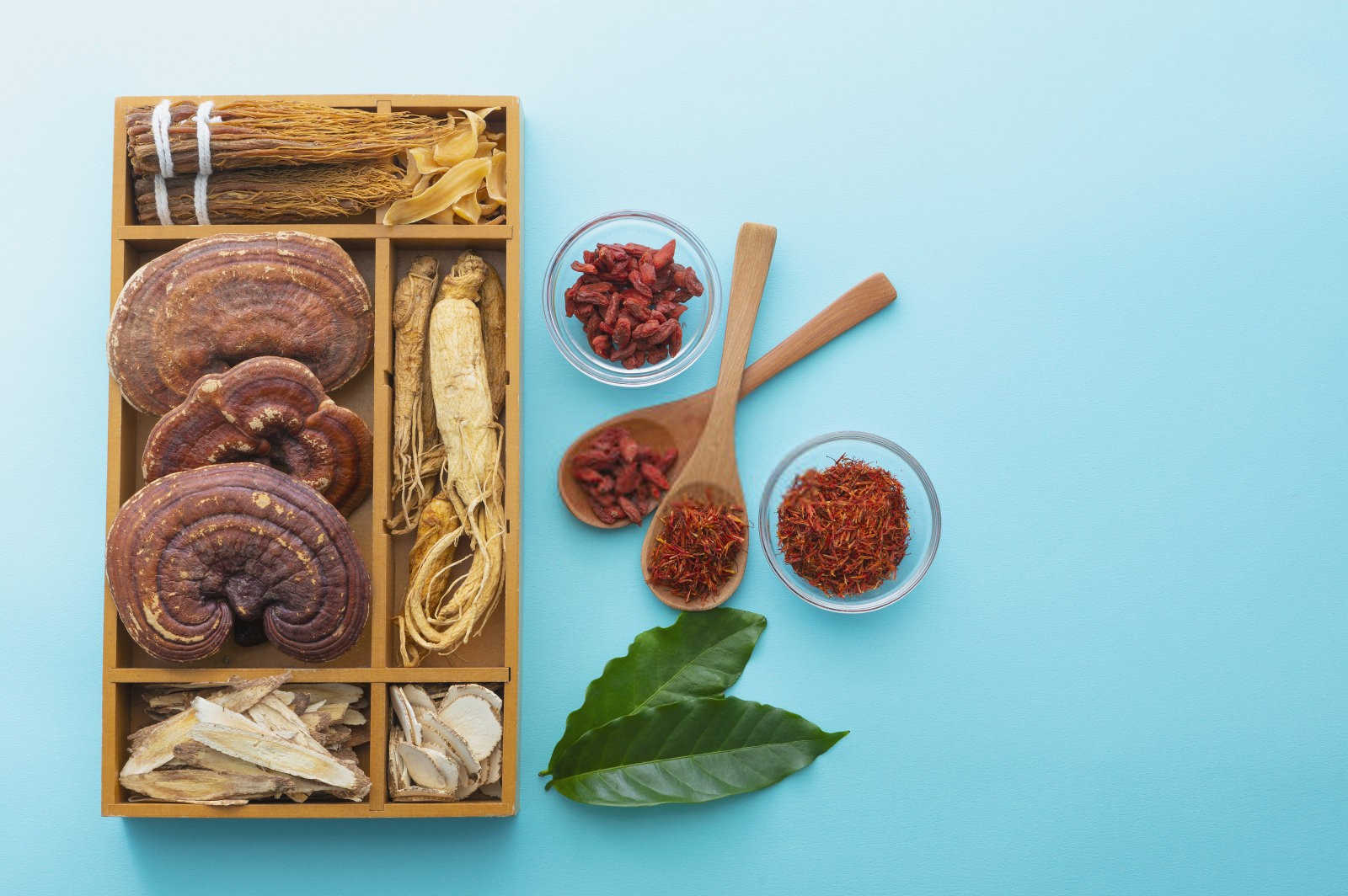 成品微生物肥料源头厂家有哪些灵芝？